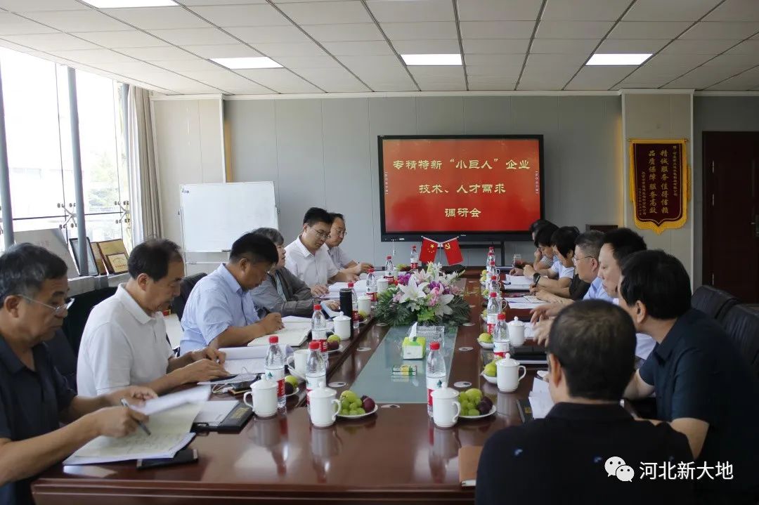 專精特新&ldquo;小巨人&rdquo;企業(yè)技術(shù)、人才需求調(diào)研組到河北新大地調(diào)研